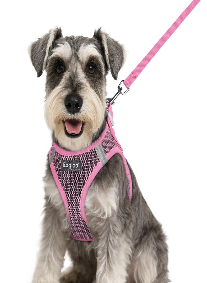 Eagloo Small Dog Harness and Leash Set, Step in Puppy Vest with Breathable Soft Mesh, Walking Reflective Pet Harness for Small Dogs, Pink, S - Image 1